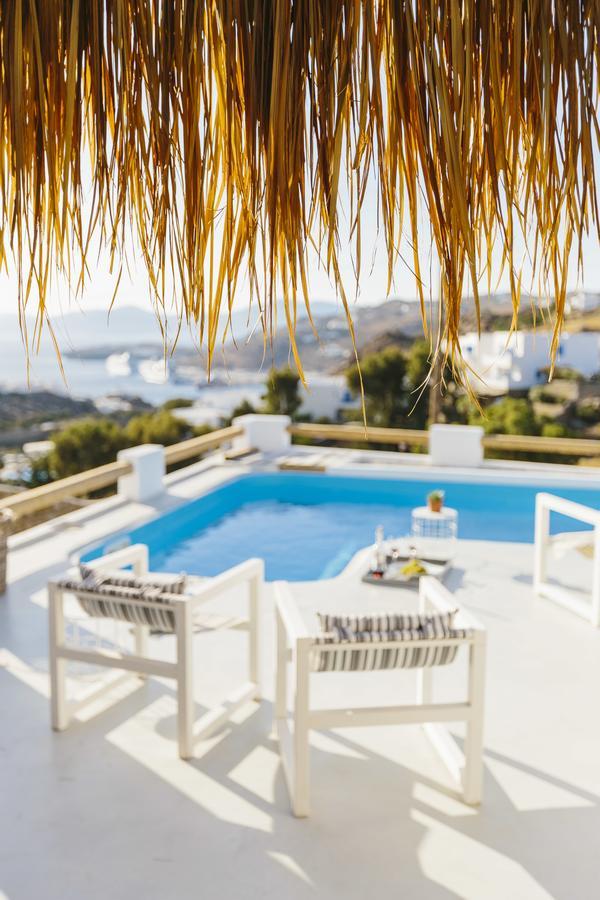 Thea Collection Villa Mykonos Town